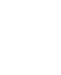 Canggu Community School