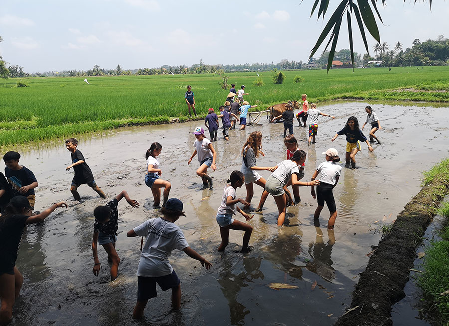 CCS pupils during Camp